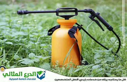 شركة رش مبيدات راس الخيمة