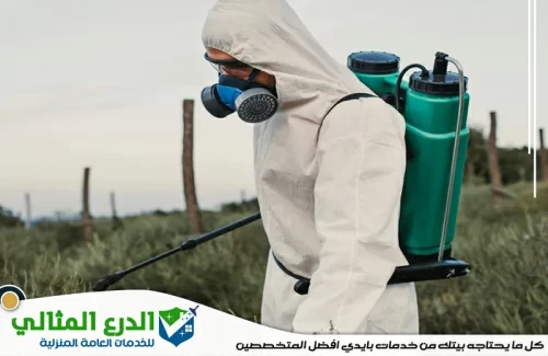 شركة رش مبيدات راس الخيمة