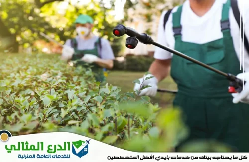 شركة رش مبيدات راس الخيمة
