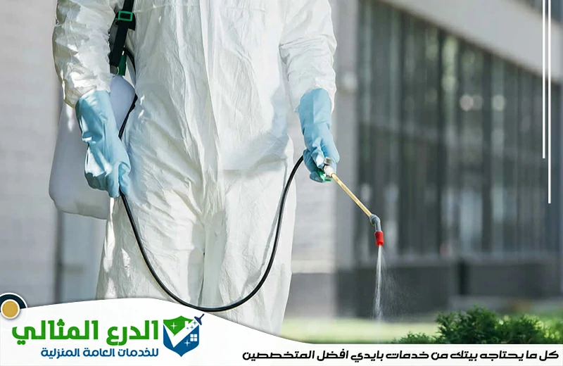 شركة رش مبيدات راس الخيمة