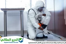 شركة مكافحة حشرات في دبي