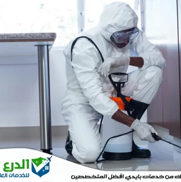 شركة مكافحة حشرات في دبي