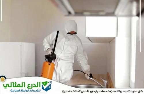 شركة مكافحة حشرات فى الشارقة