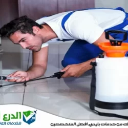 شركة مكافحة حشرات في دبي