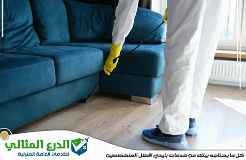 مكافحة بق الفراش في الشارقة
