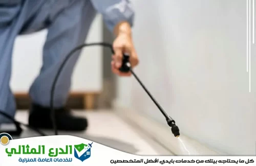 مكافحة صراصير في الشارقة