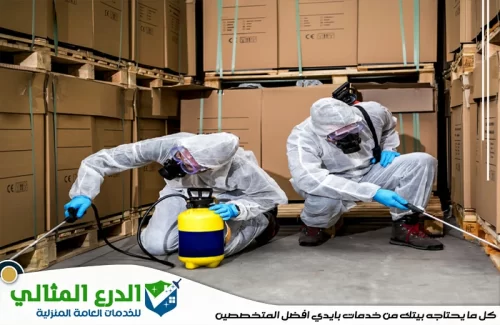 شركة مكافحة حشرات في دبي