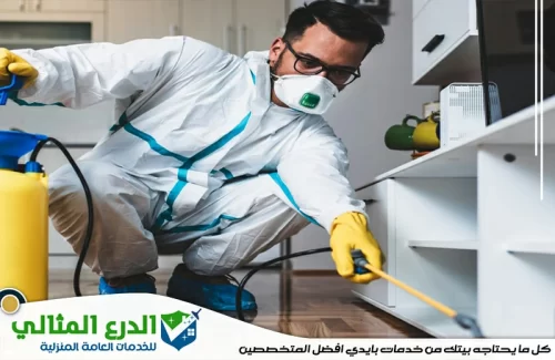 شركة مكافحة حشرات في دبي