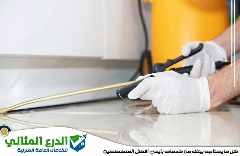 شركة مكافحة حشرات فى الشارقة