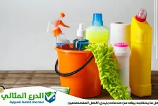 شركة تنظيف في الفجيرة