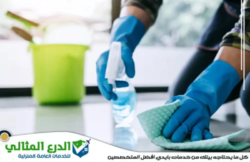 شركة تنظيف في الفجيرة