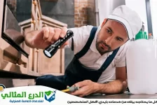 شركة مكافحة حشرات في راس الخيمة