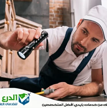 شركة مكافحة حشرات في راس الخيمة