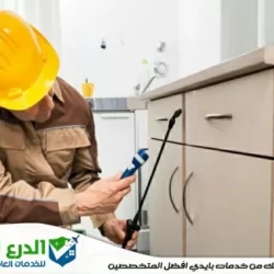 شركة مكافحة حشرات في راس الخيمة
