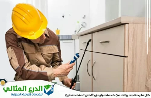 شركة مكافحة حشرات في راس الخيمة