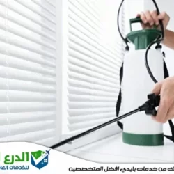 مكافحة حشرات براس الخيمة