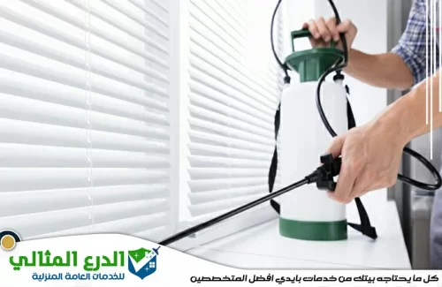 مكافحة حشرات براس الخيمة