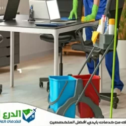 تنظيف في دبي