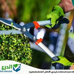 شركة تنسيق حدائق في دبي