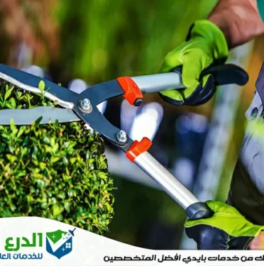 شركة تنسيق حدائق في دبي