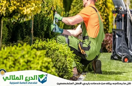 شركة تنسيق حدائق في الشارقة