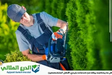 شركة تنسيق حدائق في الفجيرة