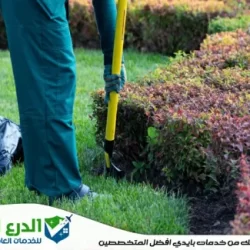 شركة تنسيق حدائق في راس الخيمة