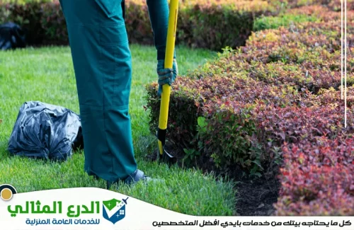 شركة تنسيق حدائق في راس الخيمة