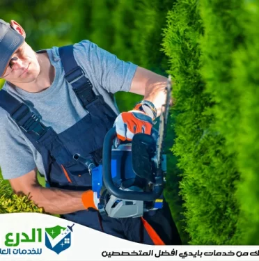 شركة تنسيق حدائق في الفجيرة