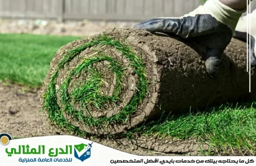 شركة تنسيق حدائق في الشارقة