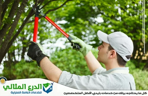 شركة تنسيق حدائق في الشارقة