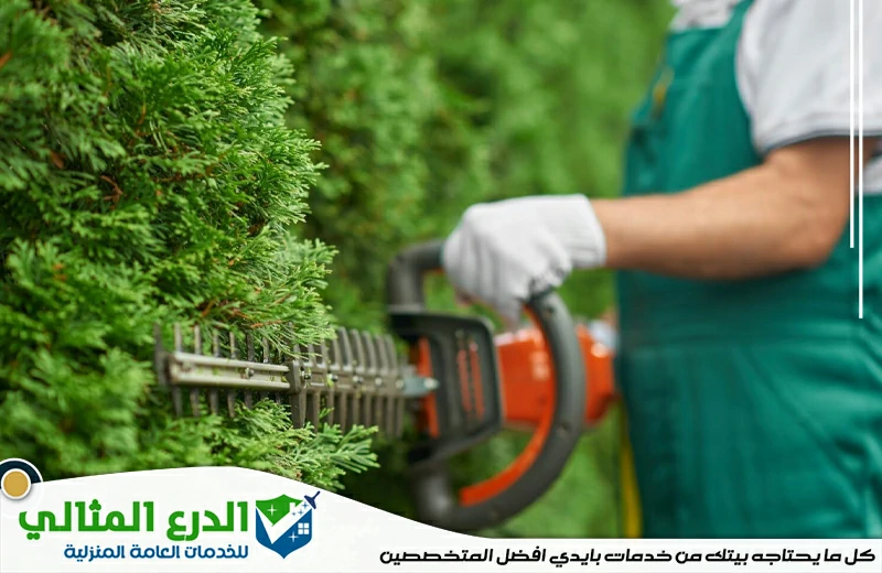 شركة تنسيق حدائق في راس الخيمة