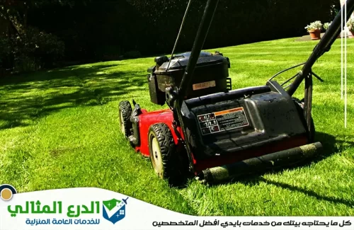شركة تنسيق حدائق في دبي