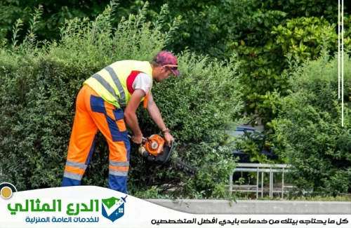 تزيين حدائق راس الخيمة