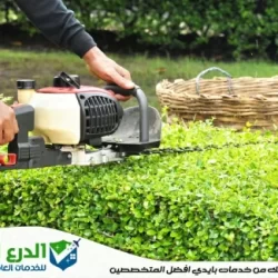 أرخص شركة تنسيق حدائق في الفجيرة