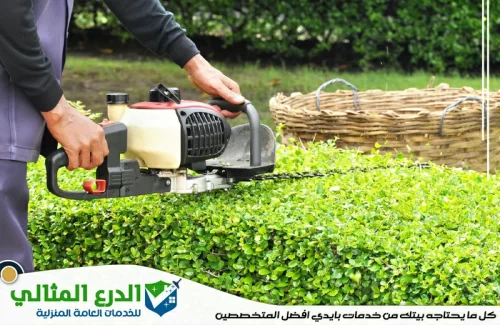 أرخص شركة تنسيق حدائق في الفجيرة