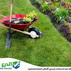 شركة تنسيق حدائق في دبي