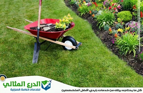 شركة تنسيق حدائق في دبي