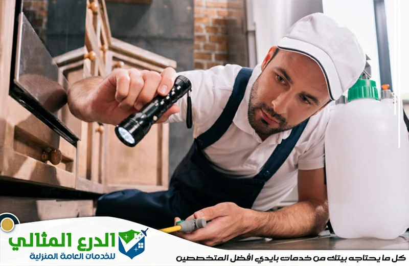 مكافحة الوزغ في الفجيرة