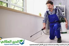 شركة مكافحة حشرات في الفجيرة