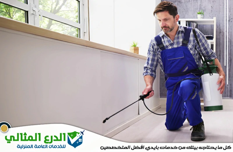 شركة مكافحة حشرات في الفجيرة