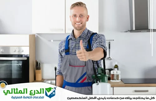 أفضل شركة مكافحة حشرات في الفجيرة