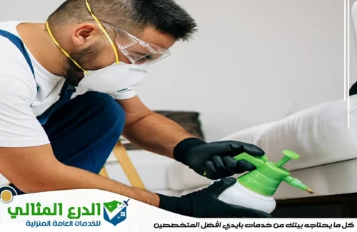 أرخص شركة مكافحة حشرات في الفجيرة