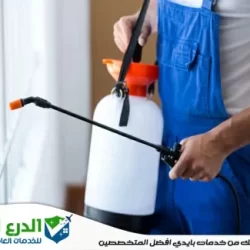 شركة مكافحة الصراصير في دبي
