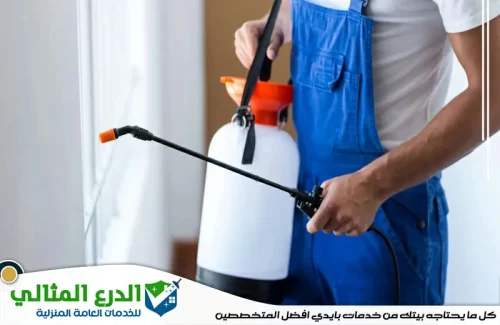 شركة مكافحة الصراصير في دبي