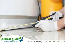 شركة مكافحة الصراصير في دبي