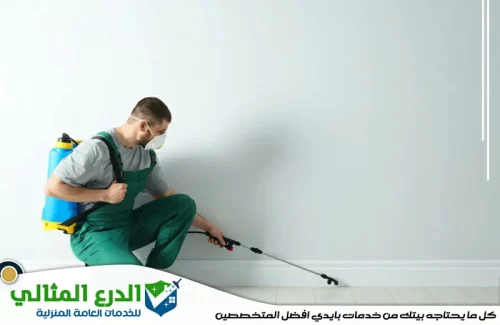 رش الصراصير في دبي